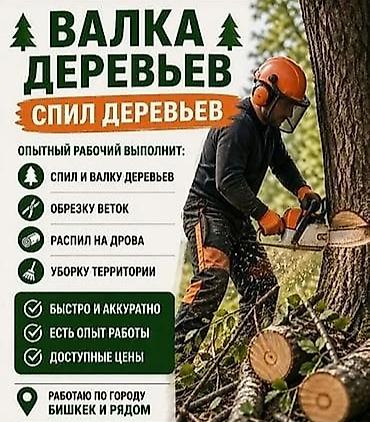 спил деревьев токмок: Услуги по валке и спилу деревьев в Бишкеке и окрестностях. Что — 1