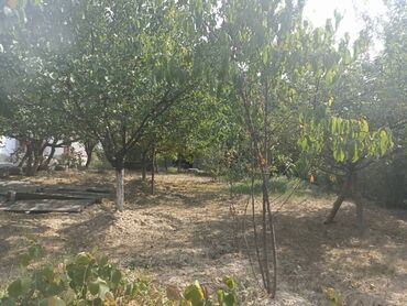 Продажа домов: Дом, 100 м², 5 комнат, Собственник, Косметический ремонт — 13