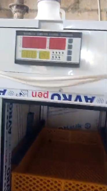 ингубатор: Inkubator satılır 900 yumurta tutur super — 4