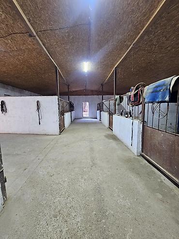 Продажа коттеджей и домов: 🔥🔥🔥Продается современный кошар с домом в селе Чокморов — 9