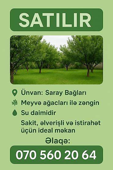 mahrasa bagi gence: 6 sot, Tikinti, Maklerlər narahat etməsin, Kupça (Çıxarış) — 1