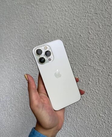 Apple iPhone: IPhone 13 Pro, 128 GB, Matte Silver, Face ID