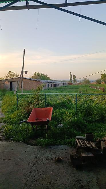 дом аламидин 1: 3 комнаты, 1500 м², 90 соток, Кызыл-Туу, Собственник — 2