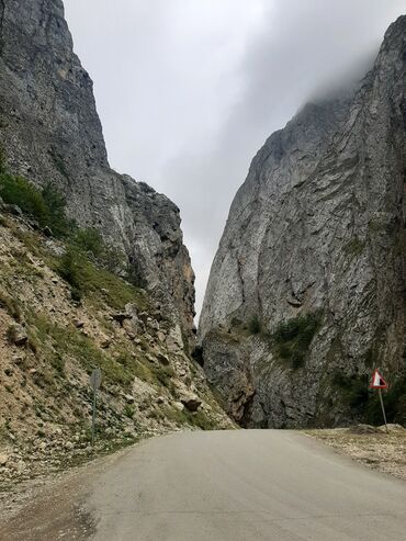 Sərnişin daşımaları: Minivan, Lənkəran, 7 Oturacaq — 6