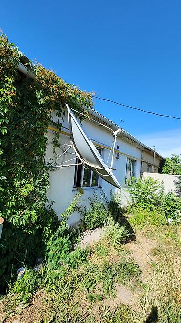 Продажа коттеджей и домов: Продам Дом, в Сокулуке, для семьи с детьми, на тихой, безопасной — 10