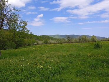 bineqedi gulustan kucesinde satilan evler: 12 sot, Biznes üçün, Mülkiyyətçi, Kupça (Çıxarış)