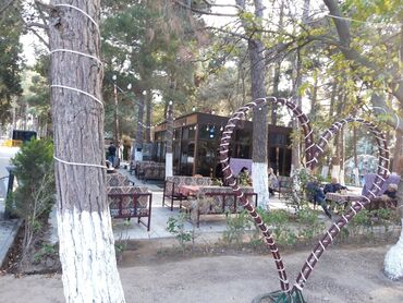 Restoran, kafelər: Sumqayıt şəhəri Nəsimi Parkında Meşəlik ərazidə yerləşən, açıq — 3
