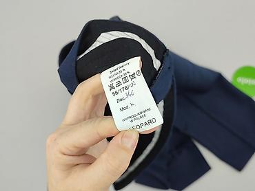 polyester tank: Spodnie garniturowe męskie, rozmiar 3XL — 4