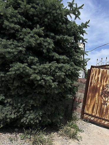 Продажа коттеджей и домов: Дом с участком - Отдельно стоящий дом из кирпича/блока с двускатной — 14