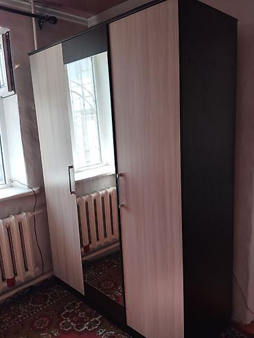 standing mirror: Шифоньер, шкаф для одежды, Б/у, Прямой — 1