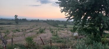 Anbar və emalatxanalar: Ünvan: Qusar şəhəri Ləyər kəndi (ləzgi ləyər) 1hk 68 sot bağ yeri — 19