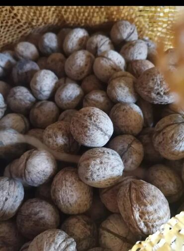 грецкие орехи: Грецкий орех 27 килограмм Урожай 2023 года
