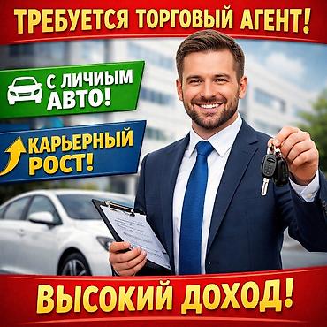авто миханик: Требуется Торговый агент, График: Шестидневка, 1-2 года опыта, % от продаж, Полный рабочий день — 1