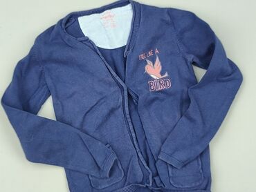 Sweatshirts and sweaters: Sweatshirt, Lupilu, 5-6 years, 110-116 cm, condition - Good