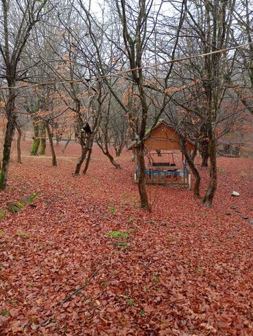 Restoran, kafelər: Masalli İsti su yaxin. 3 hektar ərazi 7 katej 6 bisetka. Tam islek -da lalafo.az — 17 Restoran, kafelər: Masalli İsti su yaxin. 3 hektar ərazi 7 katej 6 bisetka. Tam islek — 17