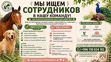 бимед фарм вакансии: 🐾 МЫ ИЩЕМ СОТРУДНИКОВ В НАШУ КОМАНДУ! 🐢🦚 Если вы ответственный — 2