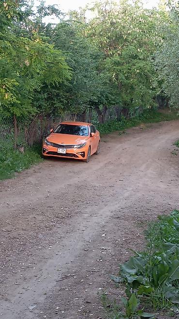 Kia K5: 2019 г., Седан