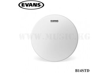 ударний барабан: Пластик для малого барабана Evans B14STD Super Tough Dry Coated EVANS