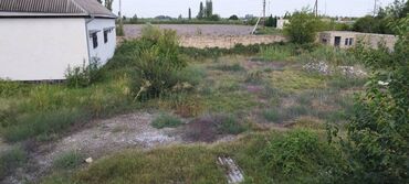 Torpaq sahələrinin satışı: 30 sot, Kənd təsərrüfatı, Mülkiyyətçi, Kupça (Çıxarış) — 6