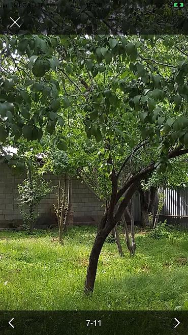 Продажа коттеджей и домов: Продаётся немецкий, благоустроенный, очень тёплый дом, в отличном — 4