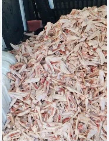 Mini: Mini : 1.4 l | 2006 il 285000 km Van/Minivan — 13