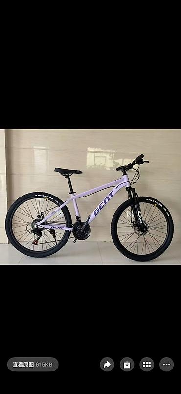 format velosiped: Горный велосипед, Алюминий, Новый — 1