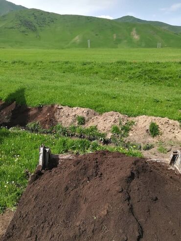 комнатные растения оптом: Чернозем чернозём чернозем чернозём
Удобрение горный качественый