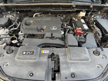 Lexus: Lexus NX: 2022 г., 2.5 л, Автомат, Бензиновая, Кроссовер — 6