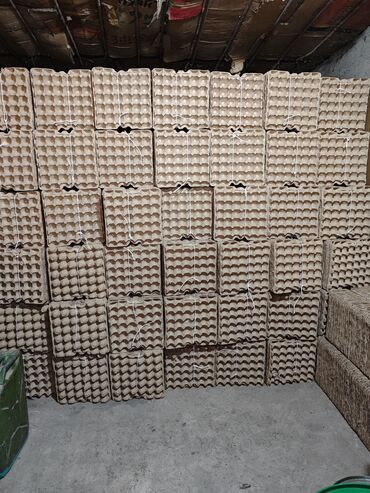 пневмонагнетатель для полусухой стяжки цена: Продаю яичные кассеты, лотки из под яиц почти новые. 2.5 сом 10000шт