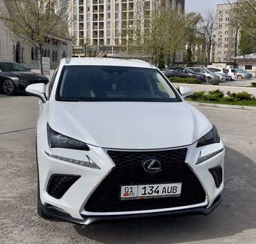 техника кара: Lexus NX: 2018 г., 2 л, Автомат, Бензин, Внедорожник