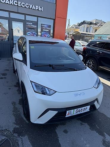 BYD: BYD Seagull: 2025 г., 0.1 л, Робот, Электромобиль, Хэтчбэк — 6