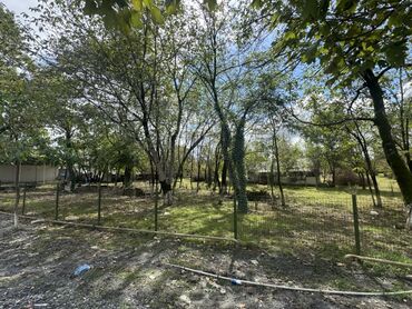 Torpaq sahələrinin satışı: 77 sot, Biznes üçün, Mülkiyyətçi, Kupça (Çıxarış) -da lalafo.az — 4 Torpaq sahələrinin satışı: 77 sot, Biznes üçün, Mülkiyyətçi, Kupça (Çıxarış) — 4