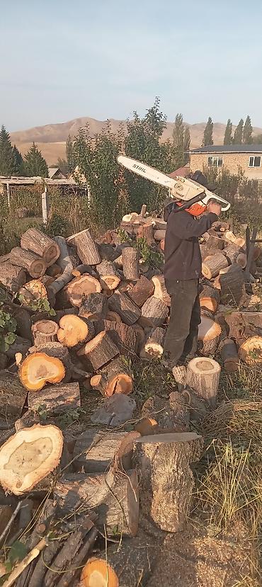 Спил деревьев, заготовка дров: Бак кыйабыз отун аралайбыз. ар кандай кыйынчылыктагы 24/7 чалып — 17