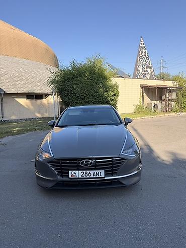 шторка соната: Hyundai Sonata: 2019 г., 0.2 л, Автомат, Газ, Седан — 1