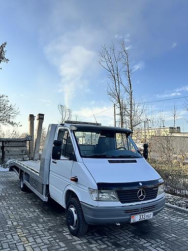 Mercedes-Benz: Mercedes-Benz Спринтер: 1999 г., 2.9 л, Механика, Дизель, Бус — 1