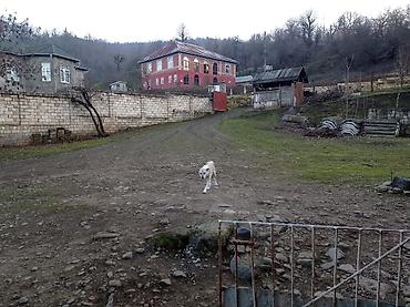 4 otaqlı ev certyojları: 4 otaqlı, 75 kv. m, Kredit yoxdur, Orta təmir — 3