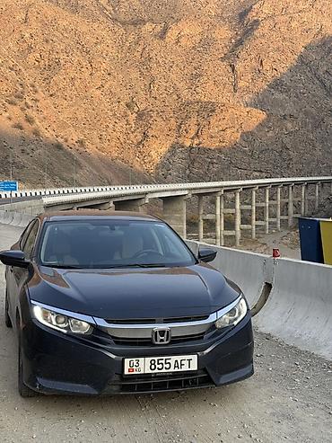 хонда инсайт 2011: Honda Civic: 2017 г., 2 л, Автомат, Бензин, Седан — 1