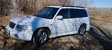 Subaru: Subaru Forester: 2001 г., 2 л, Автомат, Бензин, Универсал — 11