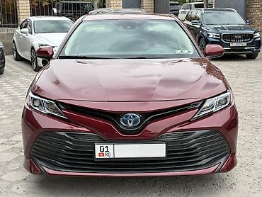 camry 55 exclusive: Toyota Camry: 2020 г., 2.5 л, Автомат, Гибрид, Седан — 3