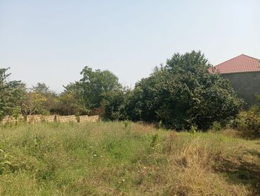 Qarajlar: 6 sot