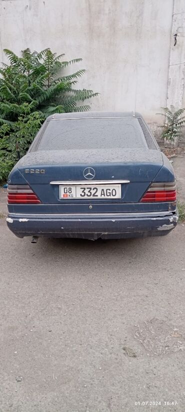 Mercedes-Benz: Mercedes-Benz W124: 1995 г., 2.2 л, Автомат, Бензин, Седан