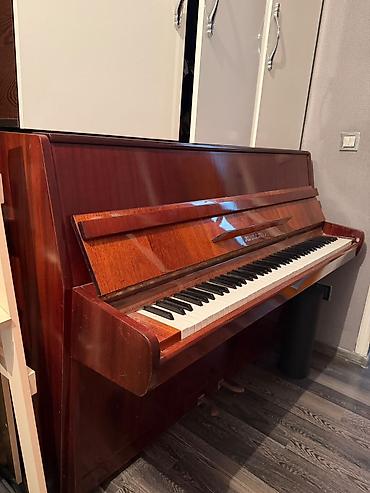 Спорт и хобби: Upright pianino – Юность ) modeli - Korpus: parlaq tünd qəhvəyi taxta — 8