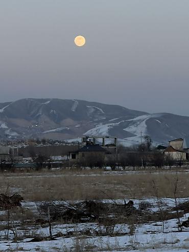 Продажа участков: 5 соток, Для строительства, Красная книга, Договор купли-продажи — 8