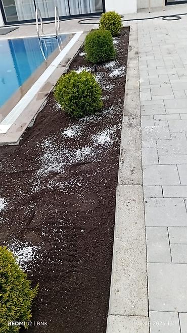 Torf: Təbbi qazon danimarka enli yarpaq çatrlma xidməti,qurasdrma cidmeti — 8