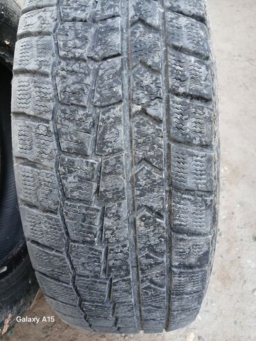 шины таблетки: Шины 195 / 65 / R 15, Зима, Б/у, Пара, Легковые, Япония, Dunlop