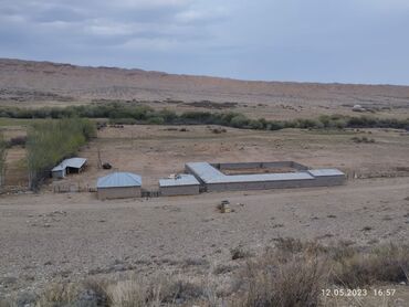 Сельхоз предприятия: Продаётся кашар с полностью огороженным участком площадью 4,5 га. На — 3