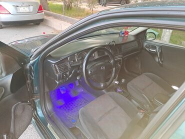 qosqu lapet satisi: Opel Vectra: 1.8 л | 1999 г. Седан