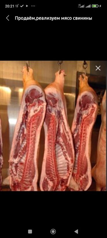 туша баранина: Продается мясо свинина оптом ляшками тушами полу тушами