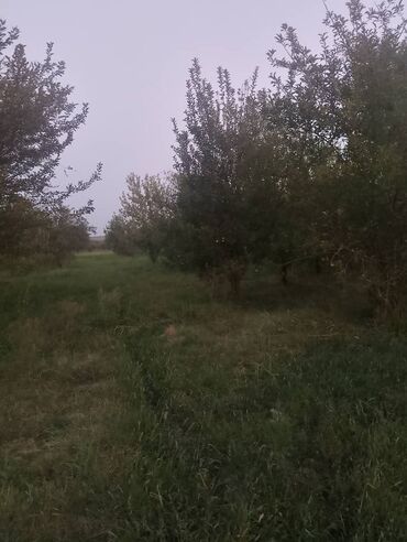 дома карабалта: 2000 соток, Для сельского хозяйства, Красная книга