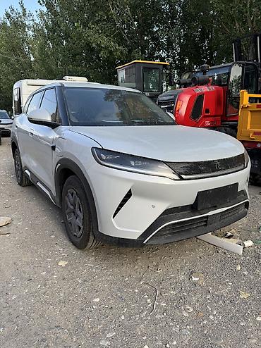 трекер авто: BYD Yuan Up: 2025 г. — 1